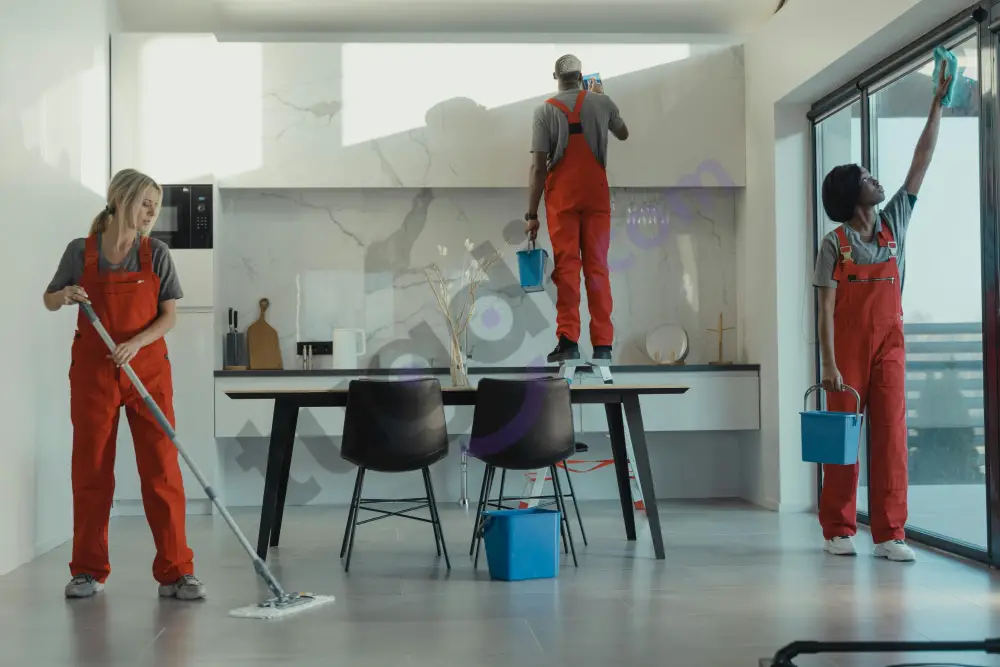 SERVICES /Cleaning 
